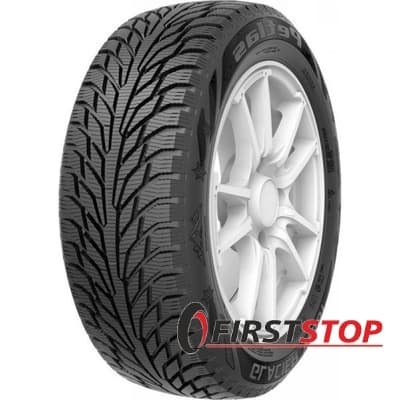 Petlas Glacier W661 175/65 R14 82T