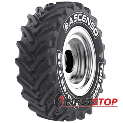 Ascenso TDR 650 (с/г) 650/65 R38 163D