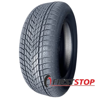 Dunlop Winter 205/55 R16 91H